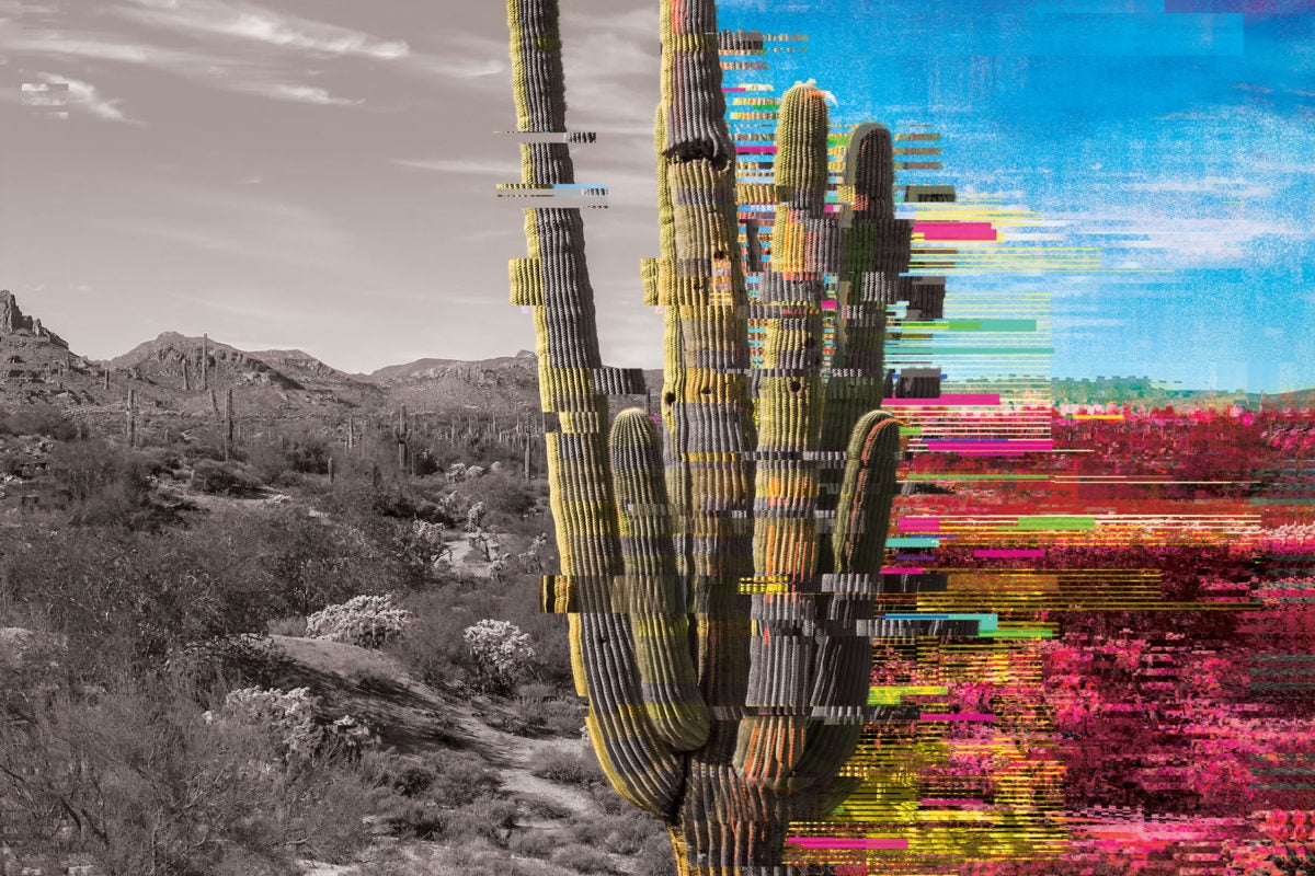 Arizona Desert Glitch - ASU Disrupt