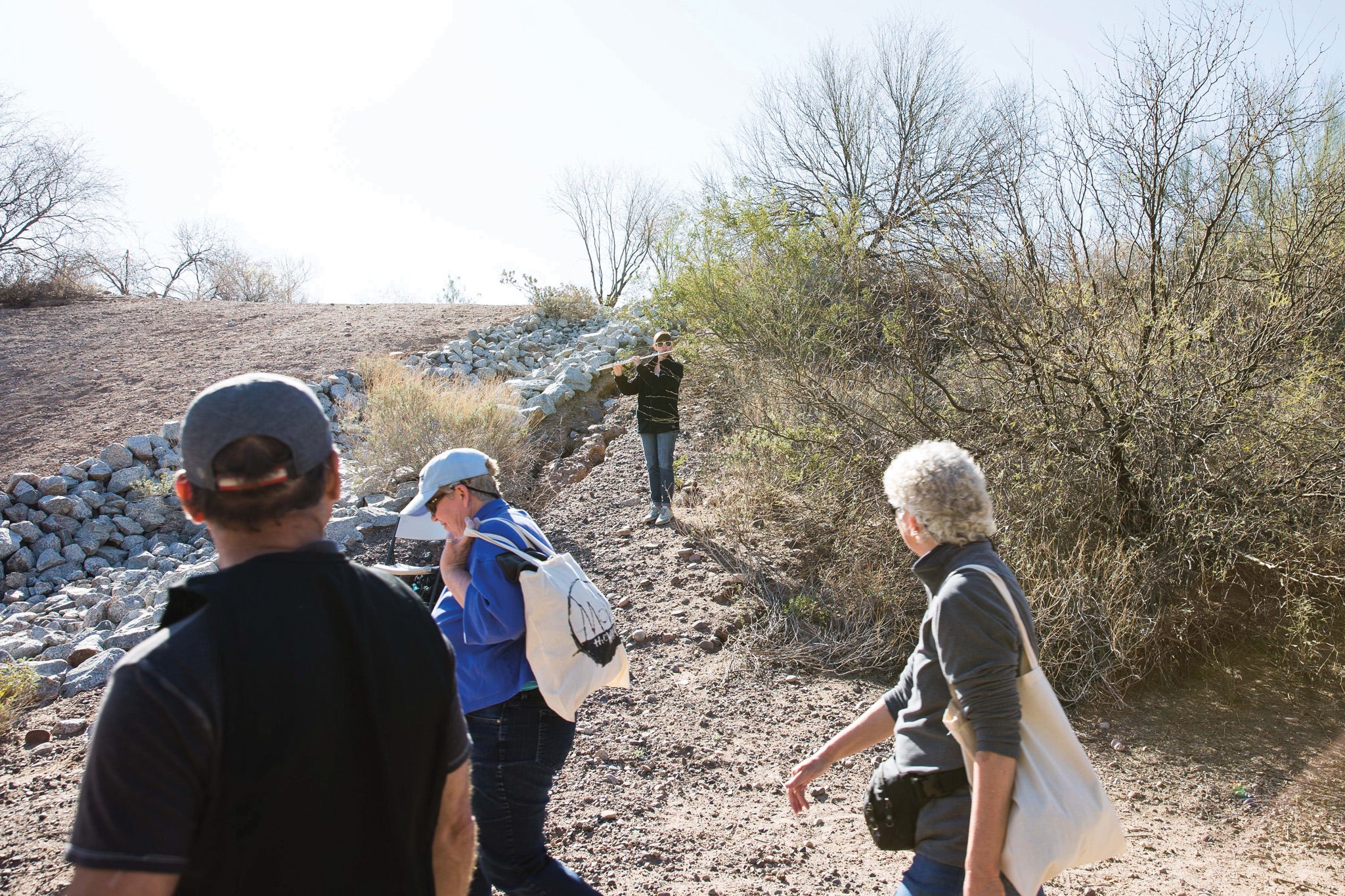 group of people walking on path in desert landscape