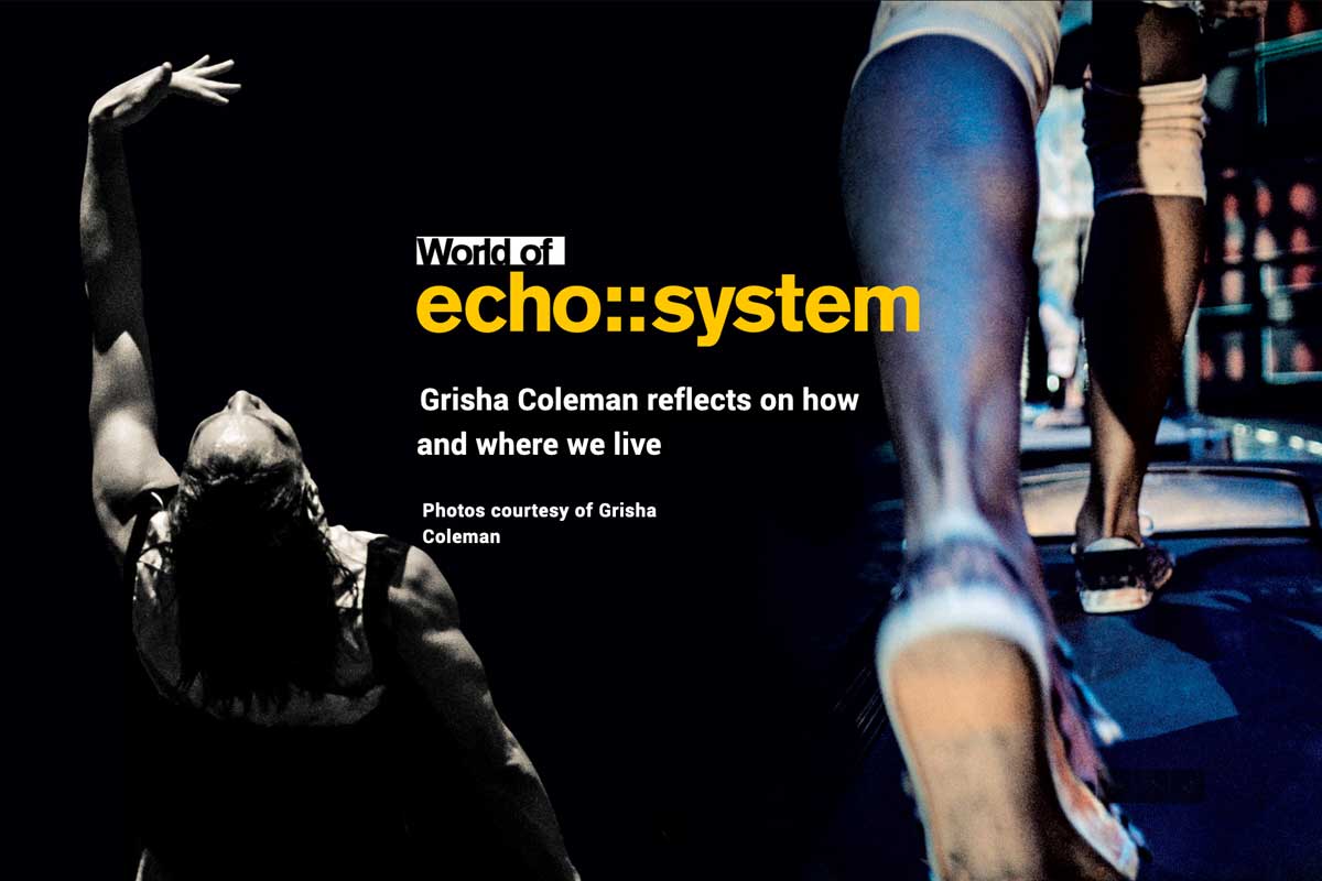 World of echo::system text with photo of Grisha Coleman